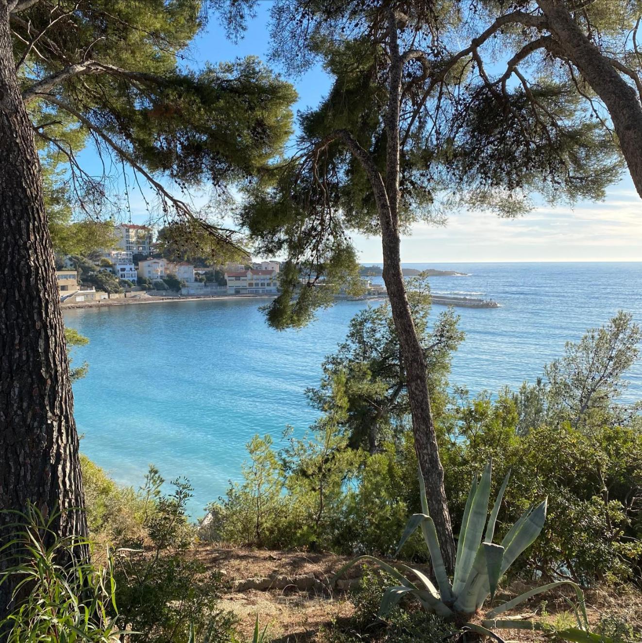 Apartment * Le Floreal * Magnifique T3 Vue Bandol